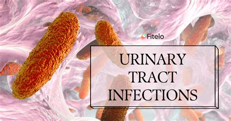 urinary tract infection foods